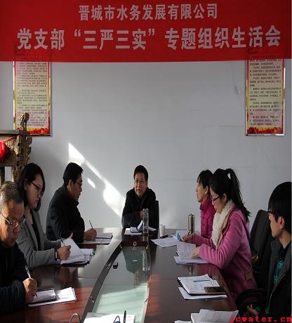 市水务公司党支部召开“三严三实”专题组织生活会